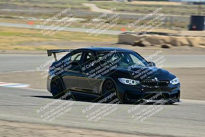 media/May-24-2025-Turn8 Trackdays (Sat) [[034586b55d]]/3 Inter 3/Session 2 (Cotton Corners-Grapevine)/
